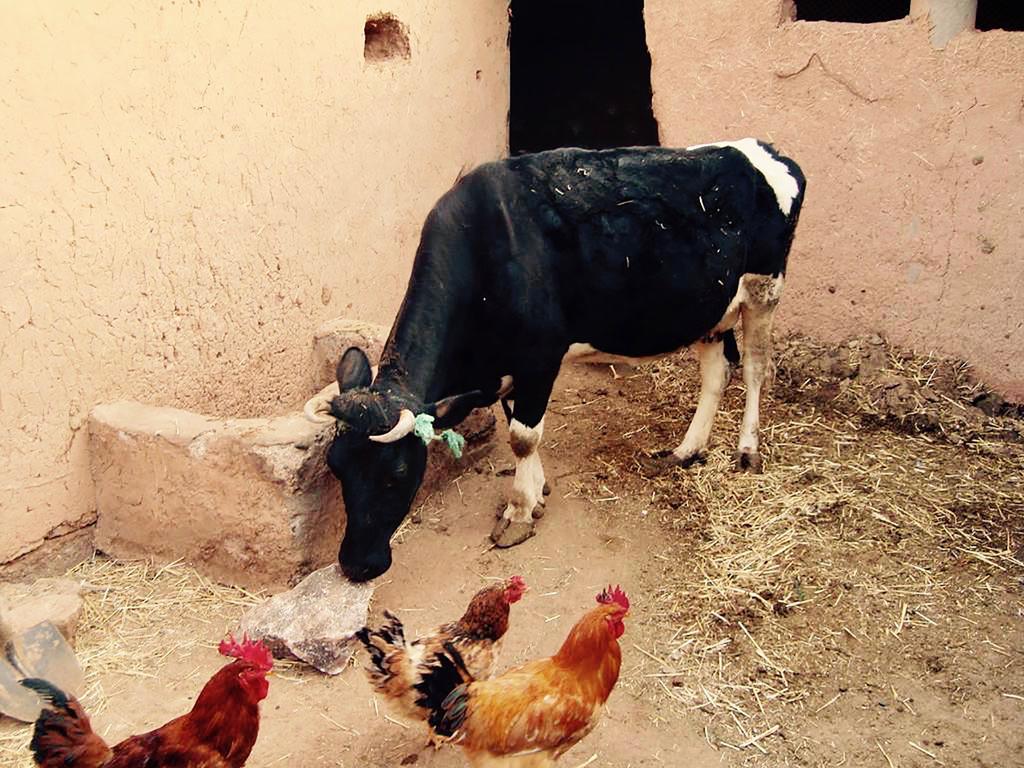 Dar Mouna Ait Benhaddou Exterior photo